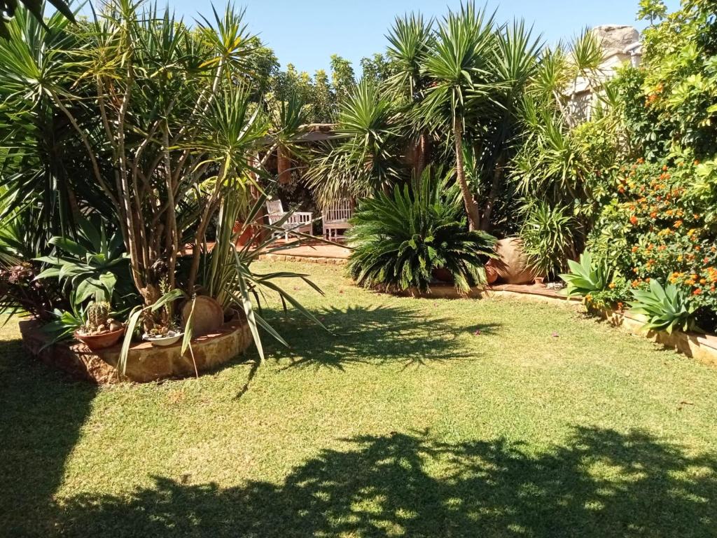 Casa Manoli - 5
