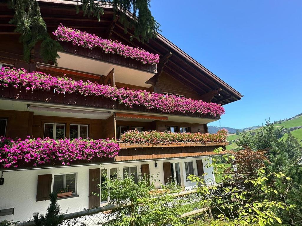 Newly Renovated APT in Wispile Near the Park Hotel, Gstaad