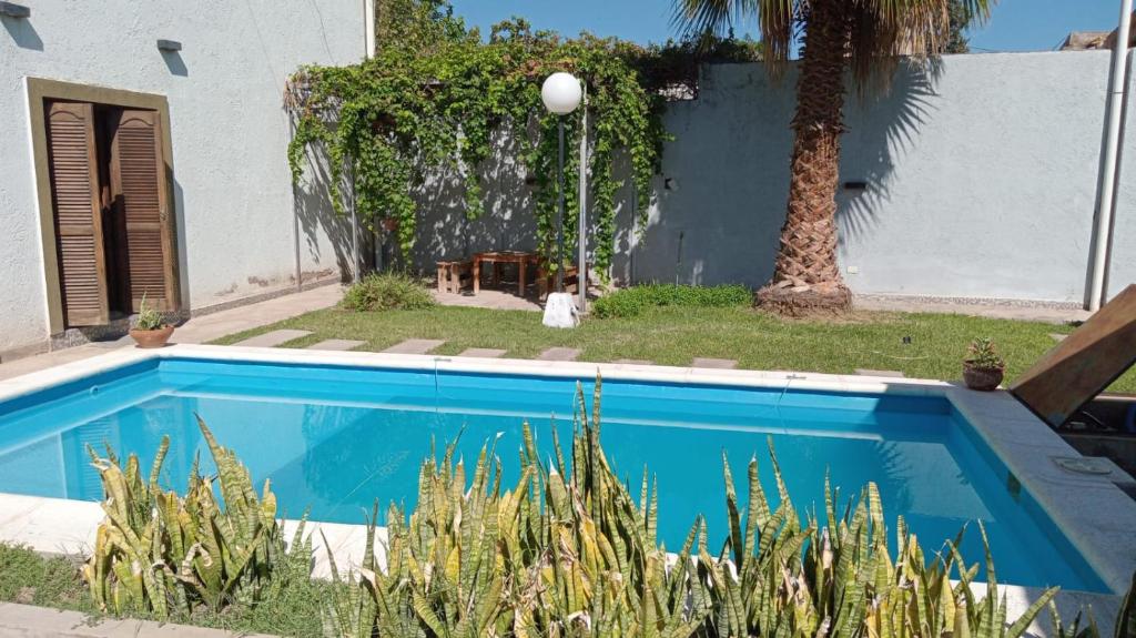 Hostel Mama Killa - 3