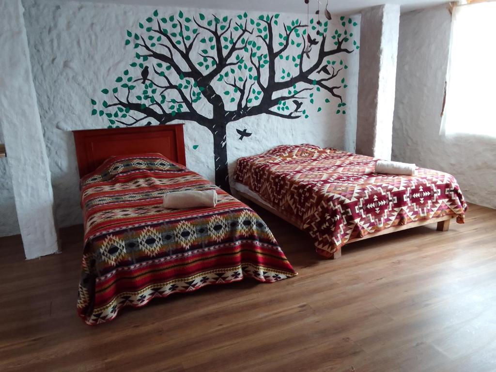 Marambu Pukyu, Ibarra