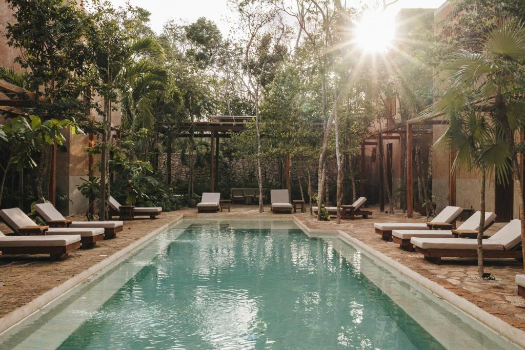 Villa Serenidad - Luxury Retreat in Tulum - 5