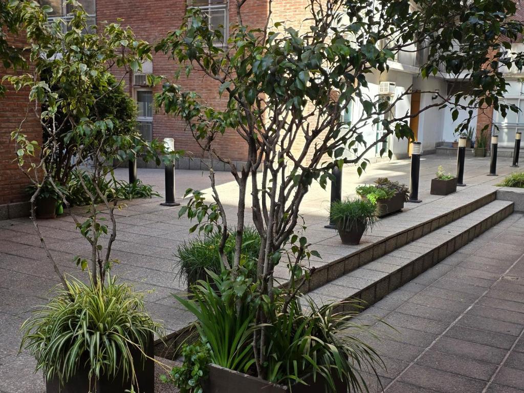 Departamento centrico en Rosario - 4