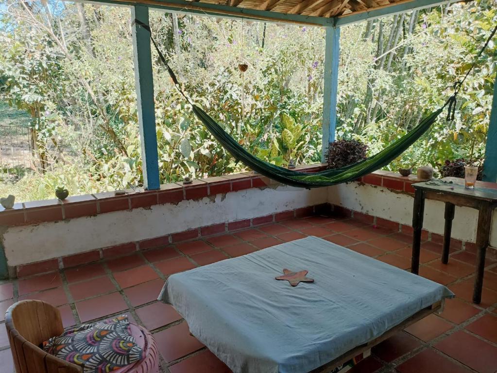 La fuente del loto - 3