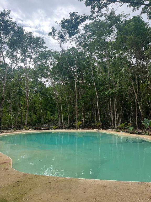 Sak lool Tulum, Tulum