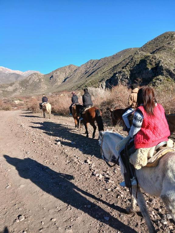 Cabañas el Cortijo - 2