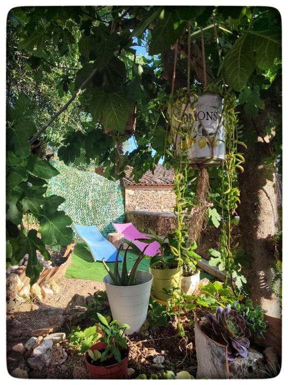 Casa Maibeca, Bolbaite