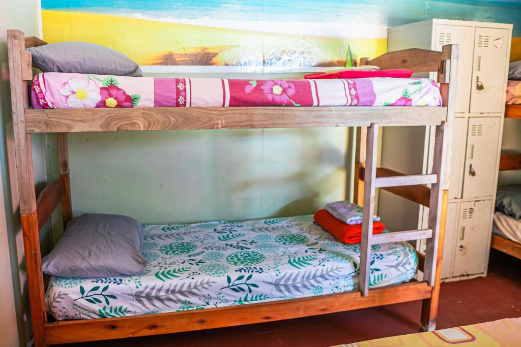 La Rubia Hostel - 4