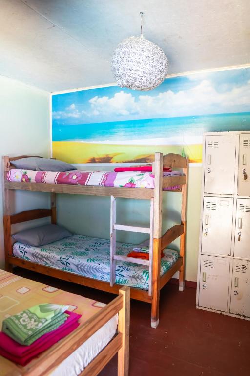 La Rubia Hostel - 5