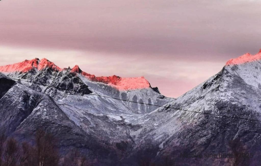 Stranda Apartment, Senja