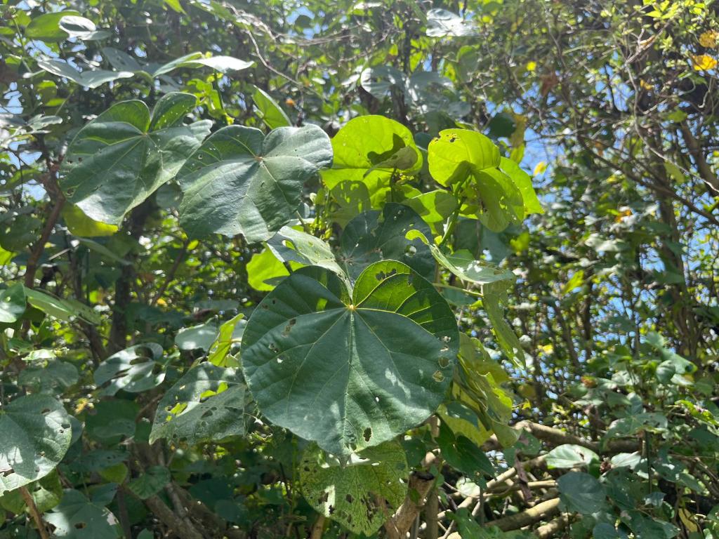 Surrounding environment