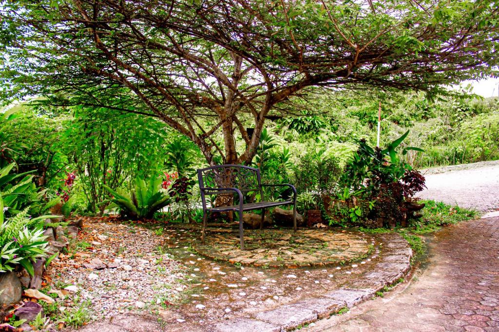 Surrounding environment