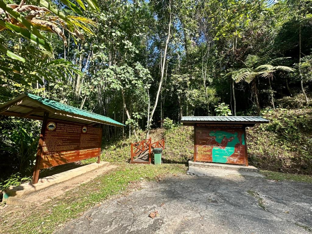 Surrounding environment