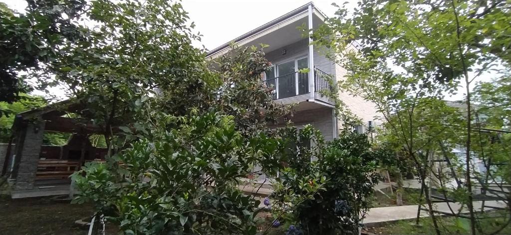 Apartment on Kobuleti beach., Kobuleti