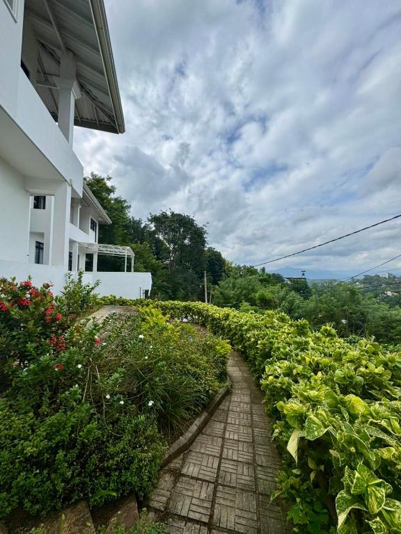 Shiro in Kandy, Kandy