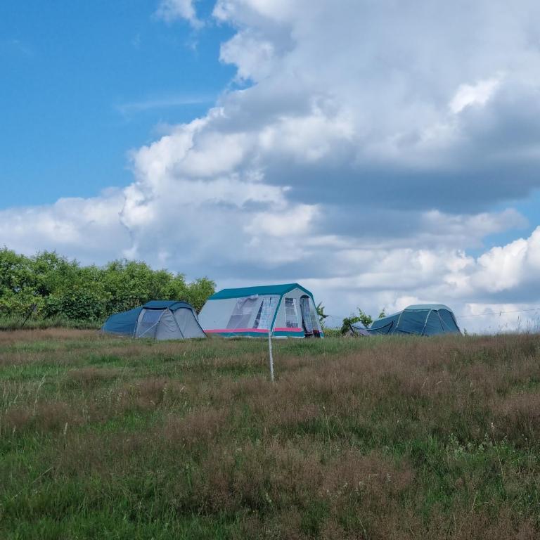 Uszate Ranczo Jagoda, Rybna