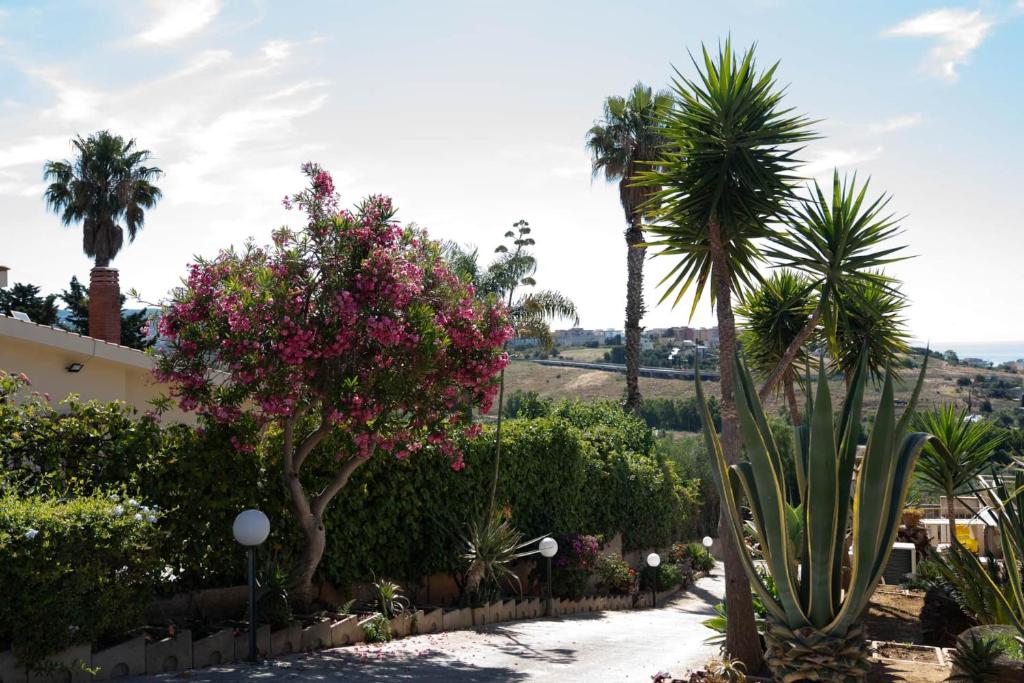 Casa Paradiso Sciacca - 4