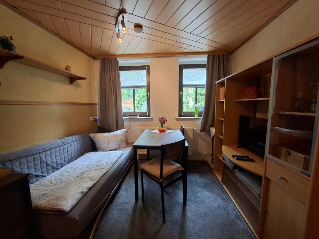 ansimali 2 - 1Zimmer-Apartment mit Wohn- und Schlafraum, integrierter Küchenzeile, separater Dusche und WC - ideal für Alleinreisende und Monteure am Spiegelwald, Grünhain-Beierfeld