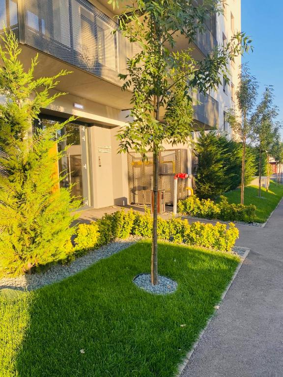 Ảnh 4