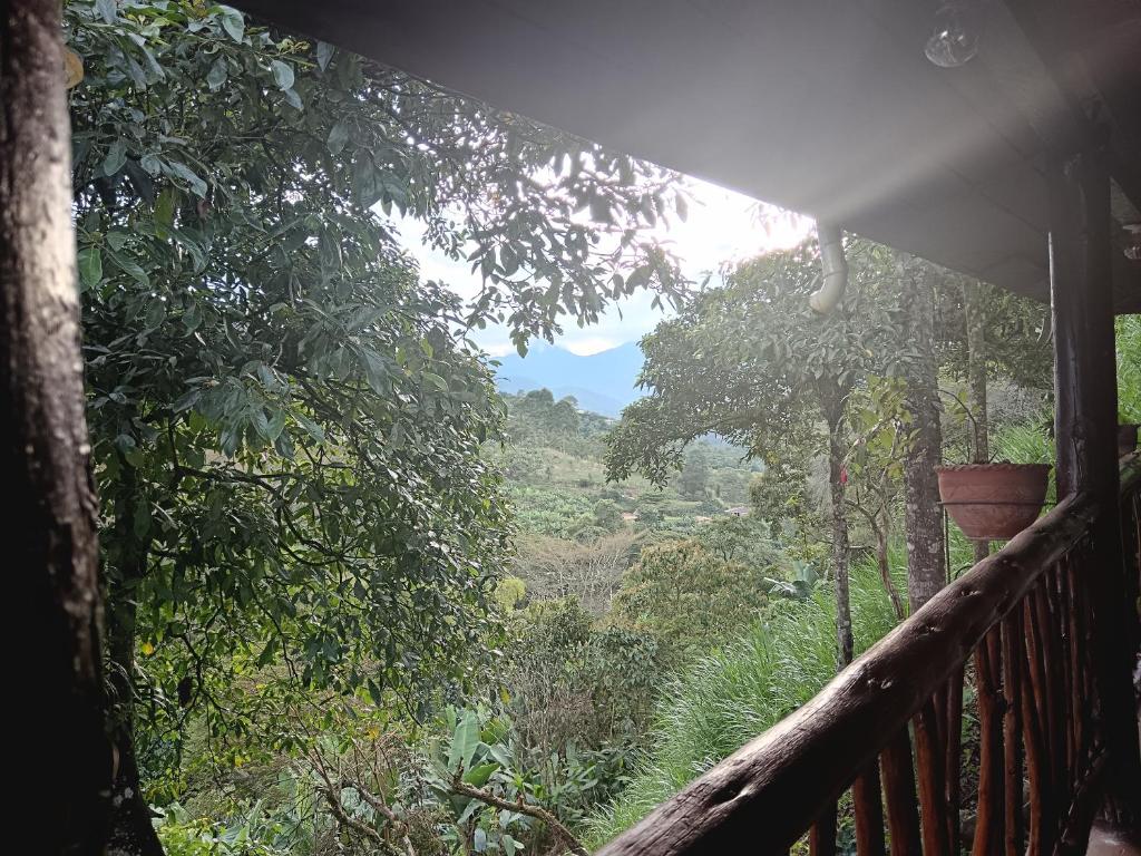 cabaña Juanes-JARDIN ANTIOQUIA - 4