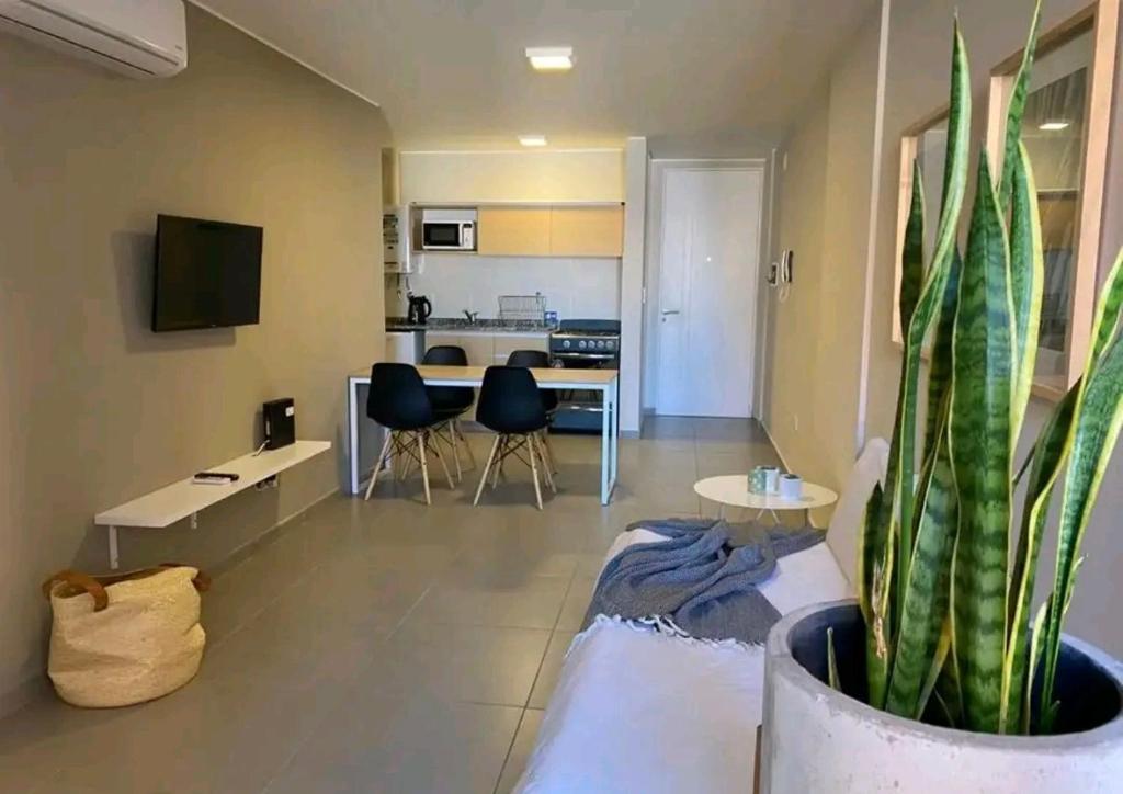 Ricardo Sosa Alojamientos - 5