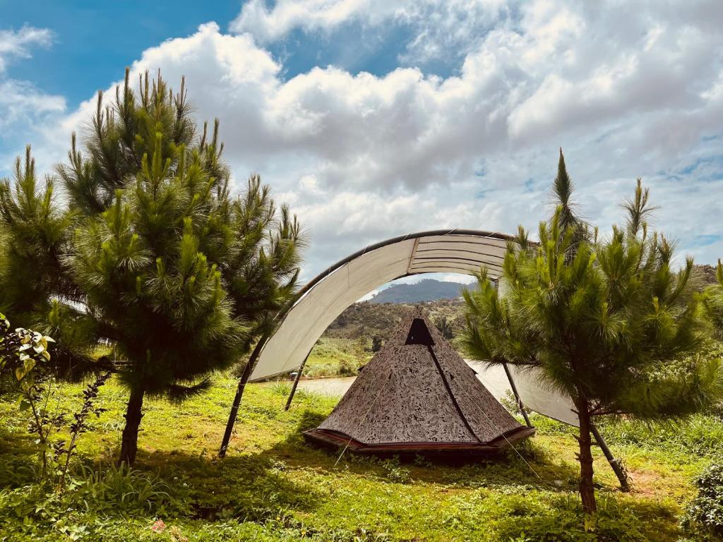 Higg Farm Resort & Glamping