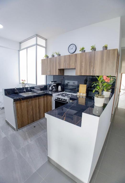 Suchiche Bohemio - 2