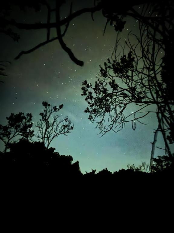 Bosque Encantado Story - 4