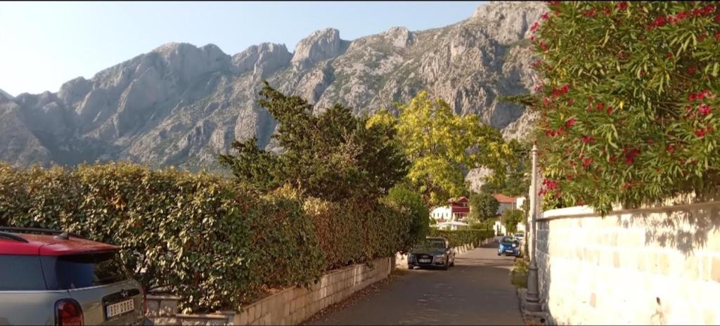 Double room with shared bathroom, Kotor, Dobrota - 4