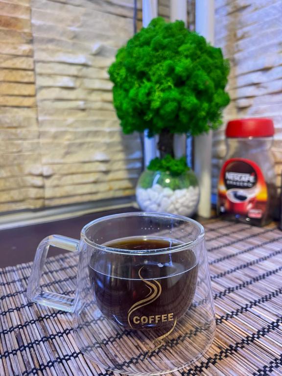 Central Vibes, Bukurešť