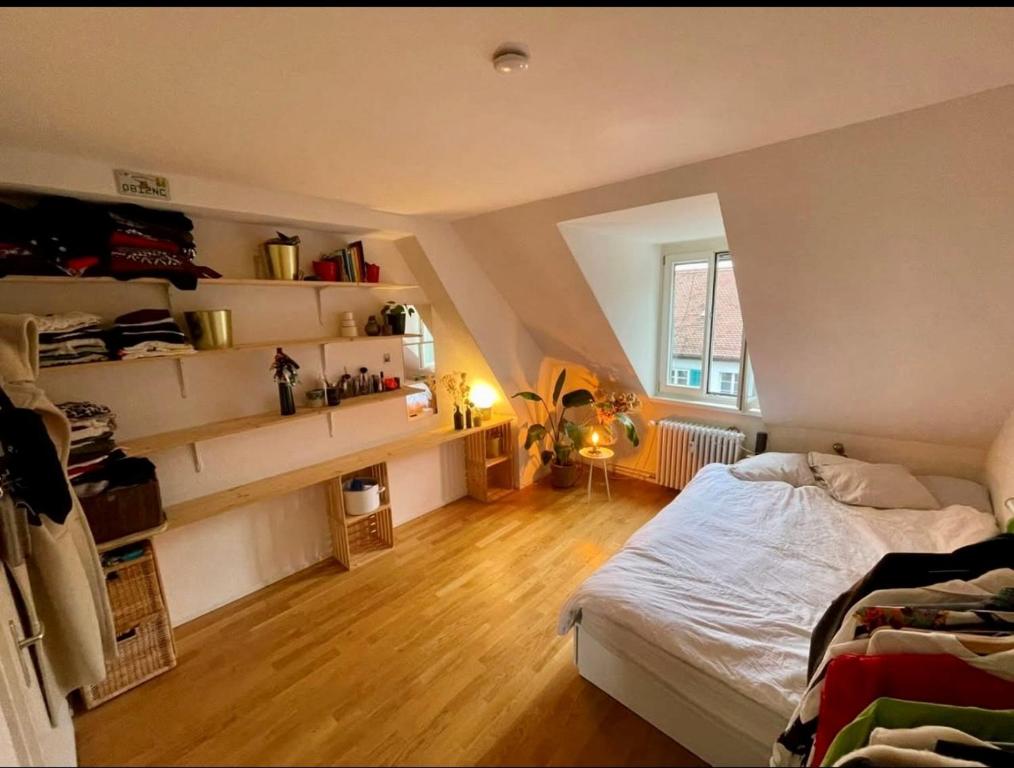 Cosy room in attic flat in the center of Zurich, Curych