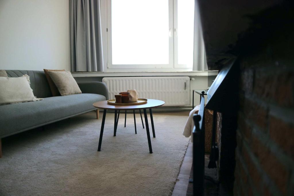 Cozy Antwerp Getaway for 3 6