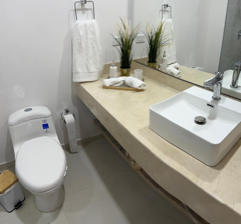 Estrena Apartamento a pasos de la Playa - 3
