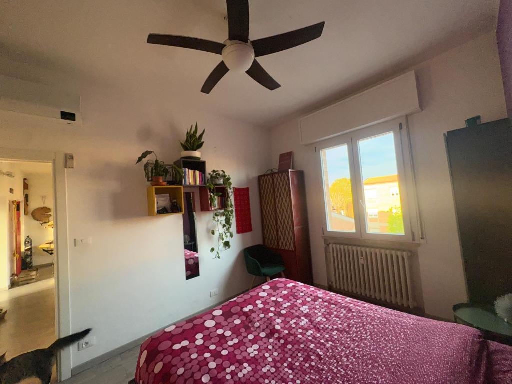 Peacefull Rooms Bologna Collodi 9 - 2