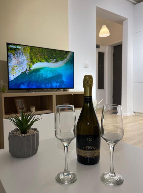 Cozy Joy, Bukurešť