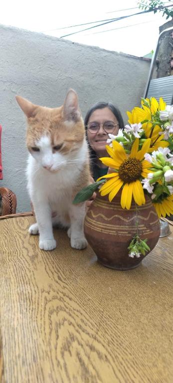 Swan lake hostel - 2