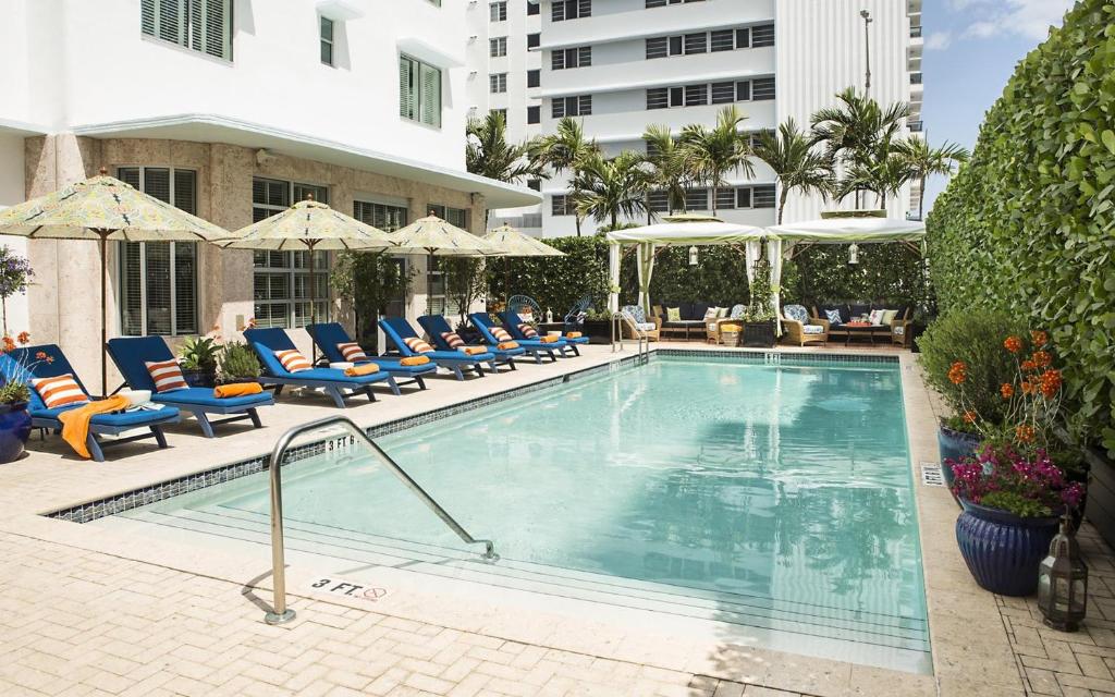 Swimming pool, Circa 39 Miami Beach in Miami Beach (FL)