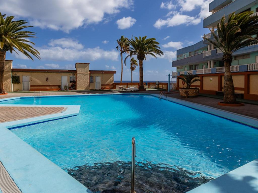Live Candelaria Atlantic Pearl - 1