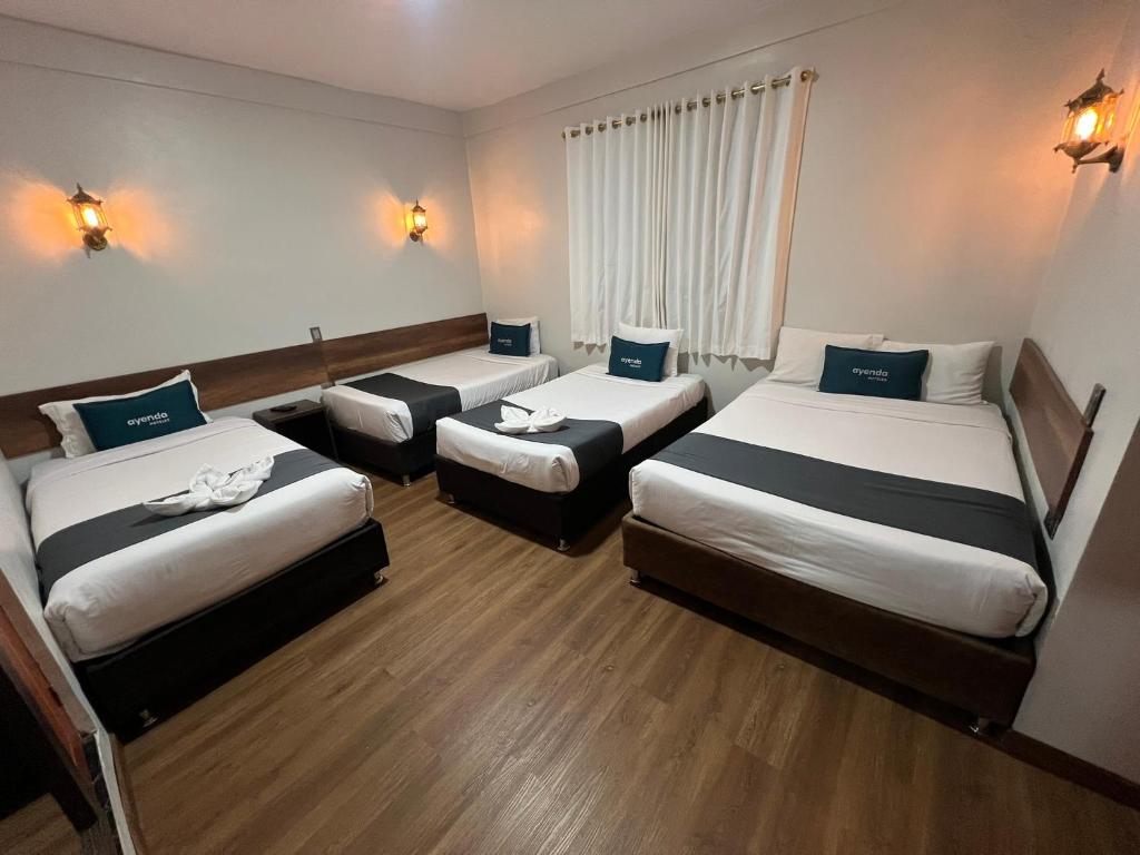 Andina Pardo Casa Boutique - 2