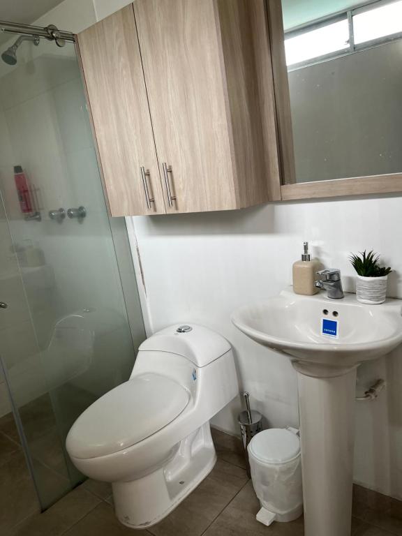 Carretera a los Nevados y Termales - 3