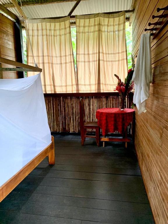 tambopata oropendola, Tambopata