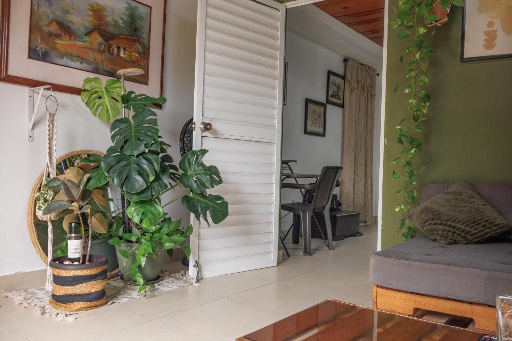 Apartamentos turisticos - Boho Sai - 3