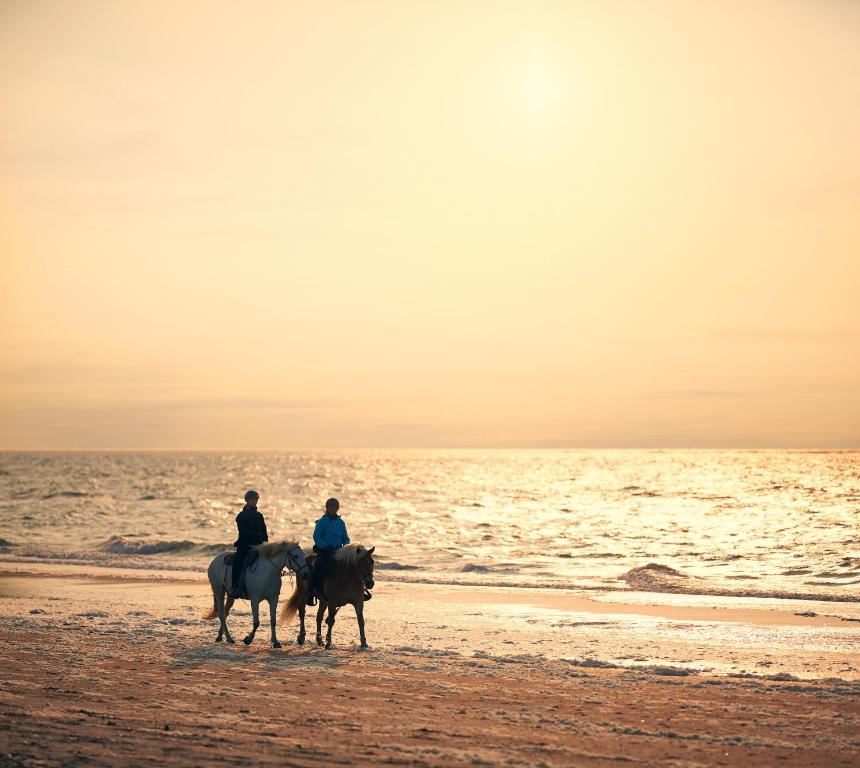 Horseback riding