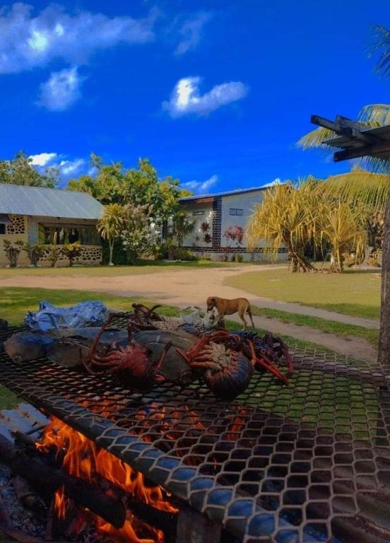 Juanita chambres d'hôtes, Rurutu