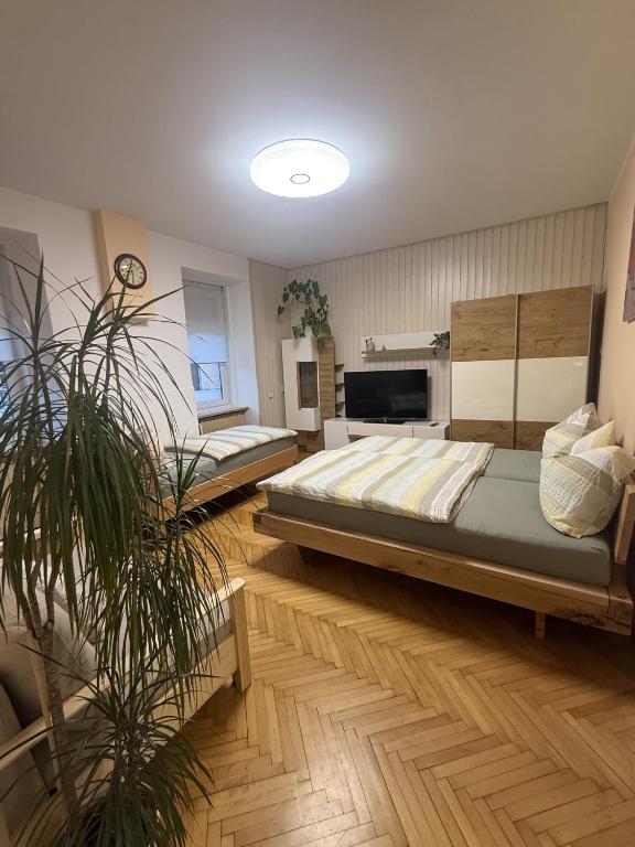 EDI APP Bovec Center, Bovec