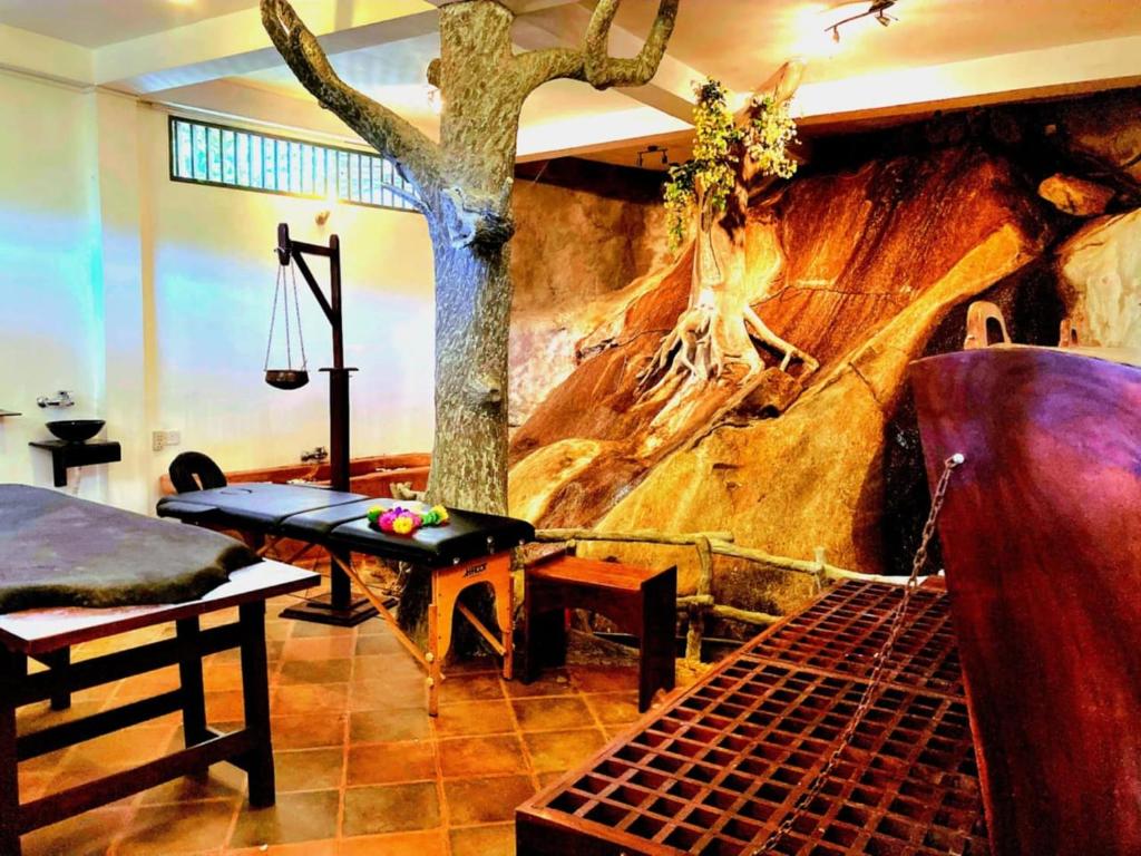 Ayurweda spa Hotel, Deniyaya