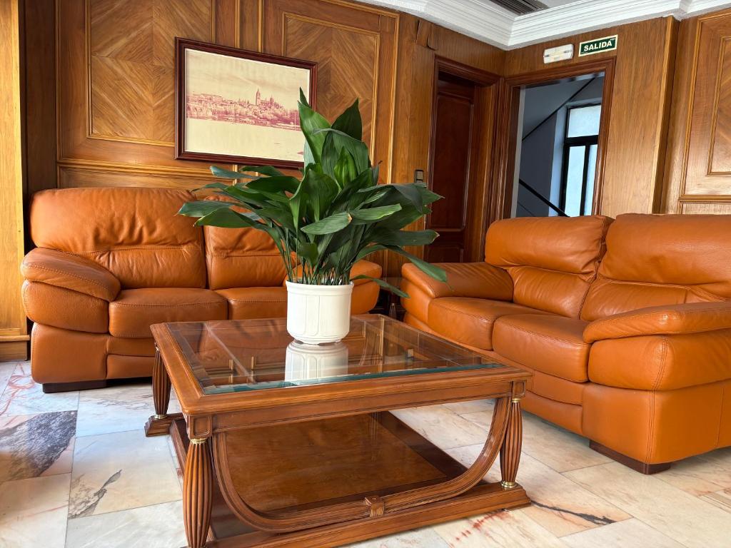 Hotel Amefa - 5
