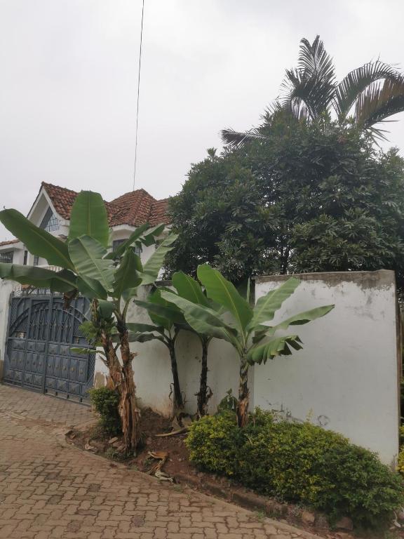 House 21,Cedar Groove, Nairobi