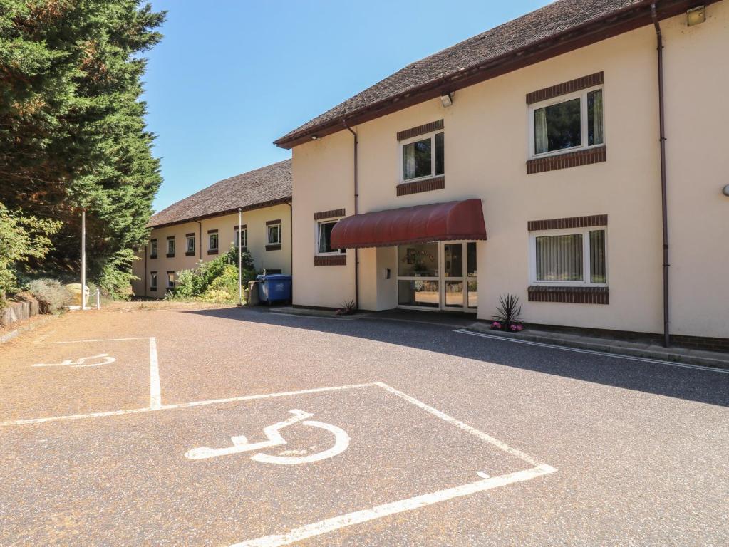 Plover, Newton Abbot