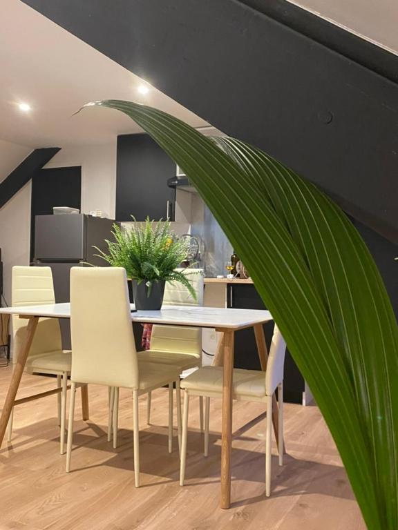 Appartement Atypique- Esprit Atelier Loft - parking privé - Wifi - vidéo - 3