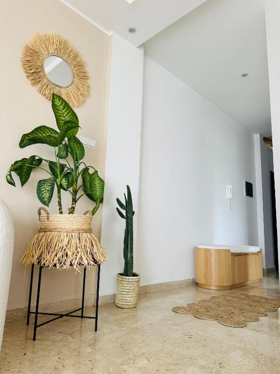 Coup de cœur, vue sur mer Alger, El Biar